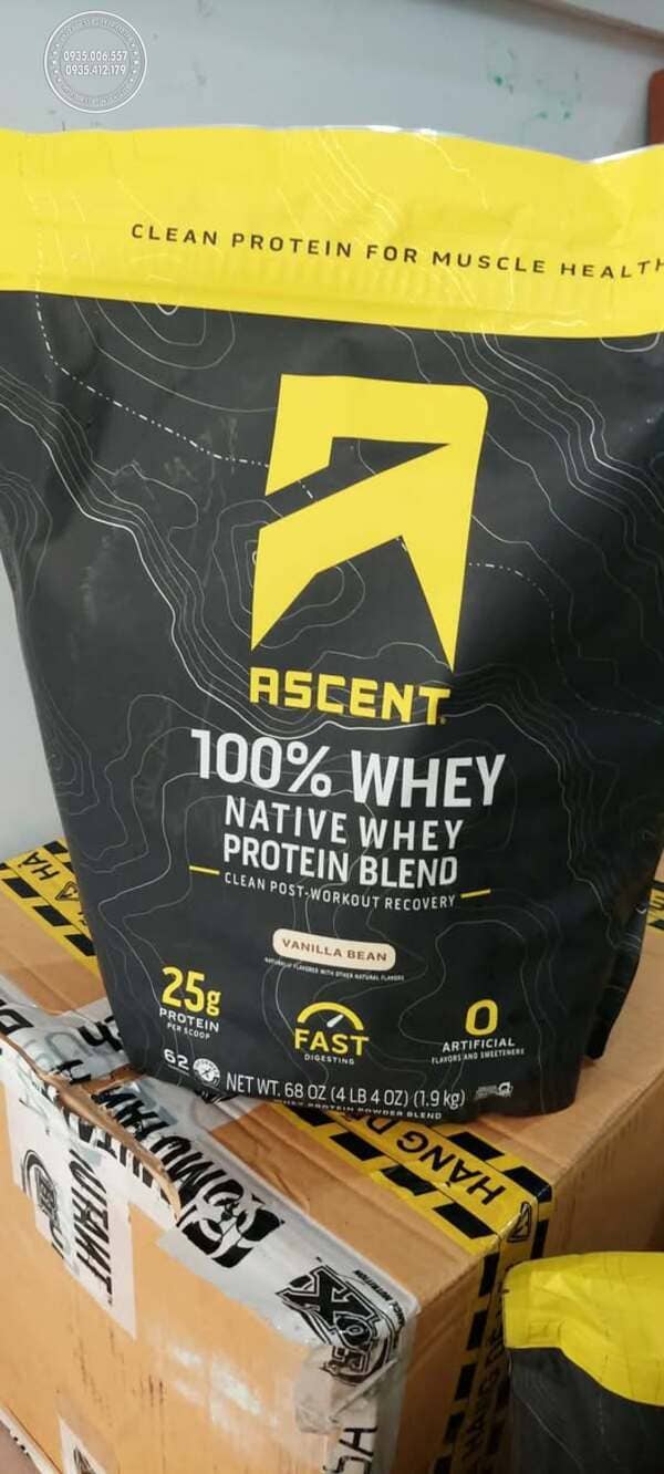 Bột Protein Ascent 100% Whey có tốt không? Đánh giá ưu và nhược điểm